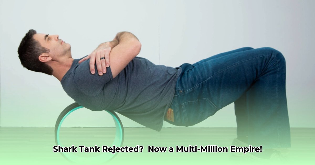 chirp-wheel-net-worth